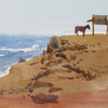 Egypt. Seashore, 2008
10x15 ;   