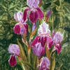 Irises, 2003
65x43 cm; эту картину можно купить